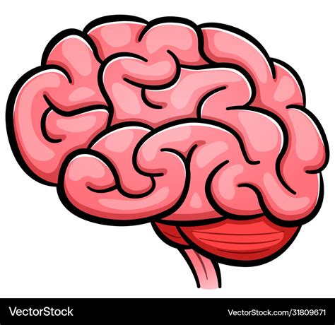 brain cartoon image